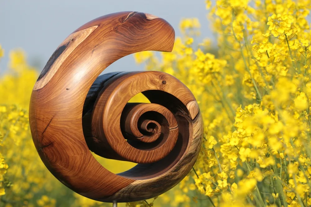 Spirale Goldregen
